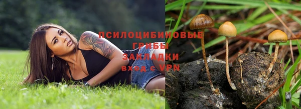 apvp Армянск
